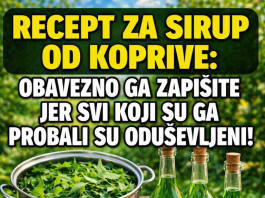 RECEPT ZA LJEKOVITI SIRUP OD KOPRIVE