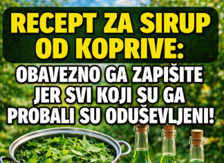 RECEPT ZA LJEKOVITI SIRUP OD KOPRIVE