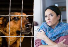 Marta je kupila kuću na planini i primetila da joj pas svake noći gleda u isti ugao sobe: Kada su srušili zid, ostali su u šoku Marta je kupila kuću na planini i primetila da joj pas svake noći gleda u isti ugao sobe: Kada su srušili zid, ostali su u šoku - featured image