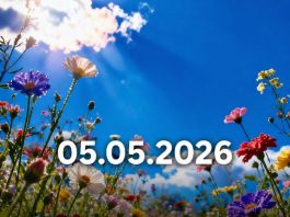 Od 5. maja počinje period promjena: šta astrolozi predviđaju za Bikove i Strijelčeve u narednim godinama Od 5. maja počinje period promjena: šta astrolozi predviđaju za Bikove i Strijelčeve u narednim godinama - featured image