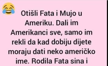 VIC DANA: Fata i Mujo u Americi VIC DANA: Fata i Mujo u Americi - featured image