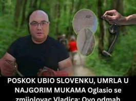 Poznati zmijolovac otkrio šta da uradite ako vas ujede zmija: Ovako prepoznajte otrovnicu od bezopasne vrste