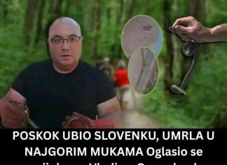 Poznati zmijolovac otkrio šta da uradite ako vas ujede zmija: Ovako prepoznajte otrovnicu od bezopasne vrste