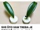 SVE ŠTO VAM TREBA JE PIRINAČ: Listovi orhideje odmah se ukorijene i cvjetaju tokom cijele godine! SVE ŠTO VAM TREBA JE PIRINAČ: Listovi orhideje odmah se ukorijene i cvjetaju tokom cijele godine! - featured image
