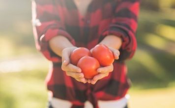 KO NE SME NIKAKO DA JEDE PARADAJZ? Ako se lečite od ovih bolesti, BACITE GA ODMAH, nije vredan narušavanja vašeg ZDRAVLJA KO NE SME NIKAKO DA JEDE PARADAJZ? Ako se lečite od ovih bolesti, BACITE GA ODMAH, nije vredan narušavanja vašeg ZDRAVLJA - featured image
