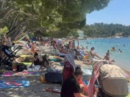 Strašno – Turisti u panici: Šta je ovo isplivalo iz mora? (FOTO) Strašno – Turisti u panici: Šta je ovo isplivalo iz mora? (FOTO) - featured image