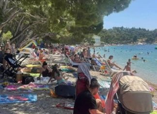 Strašno – Turisti u panici: Šta je ovo isplivalo iz mora? (FOTO) Strašno – Turisti u panici: Šta je ovo isplivalo iz mora? (FOTO) - featured image