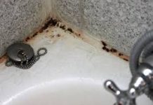 Preko noći sam razmazala buđ na tuš kabini 0VO: Kada sam se probudila kupatilo je blistalo kao novo, kakav genijalan trik Preko noći sam razmazala buđ na tuš kabini 0VO: Kada sam se probudila kupatilo je blistalo kao novo, kakav genijalan trik - featured image
