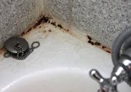 Preko noći sam razmazala buđ na tuš kabini 0VO: Kada sam se probudila kupatilo je blistalo kao novo, kakav genijalan trik Preko noći sam razmazala buđ na tuš kabini 0VO: Kada sam se probudila kupatilo je blistalo kao novo, kakav genijalan trik - featured image