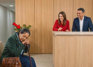 Natjerali su je da čeka na recepciji tri sata… ne shvaćajući da je upravo ona nova vlasnica. Natjerali su je da čeka na recepciji tri sata… ne shvaćajući da je upravo ona nova vlasnica. - featured image